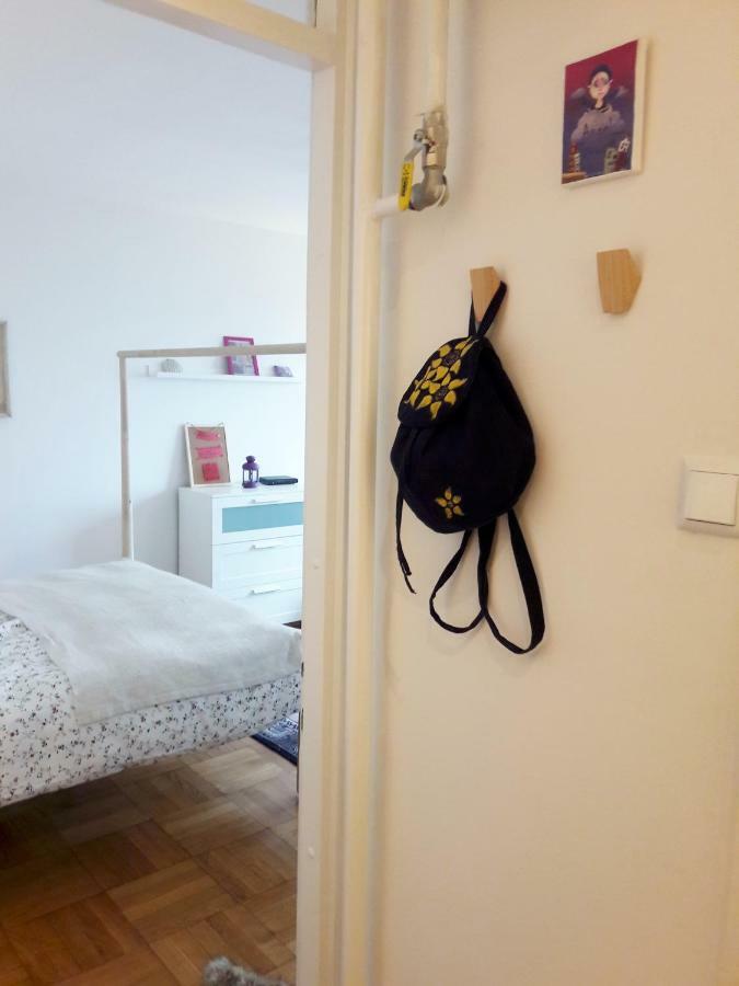 Brand New Cosy Apartment Загреб Екстериор снимка
